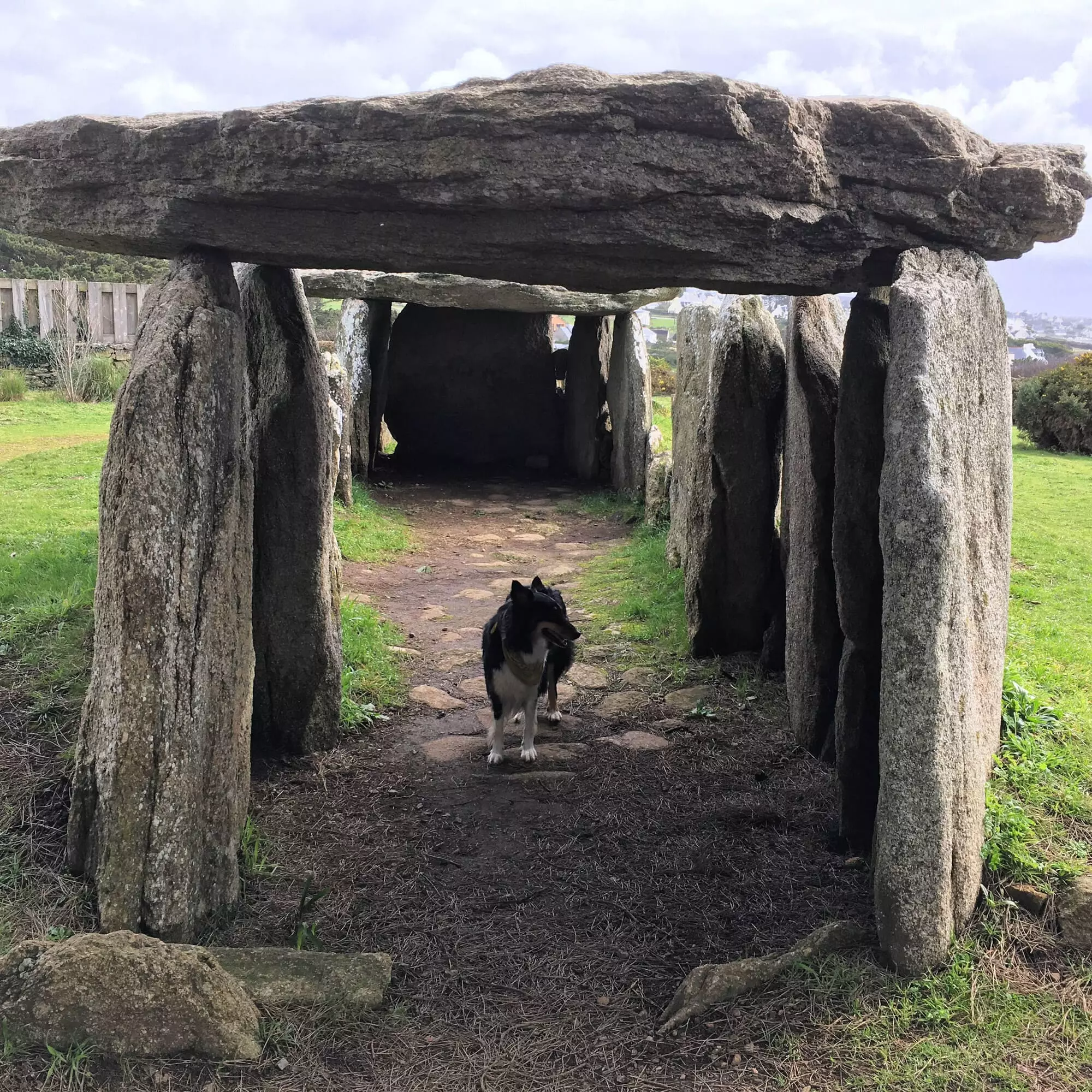 Dolmen de Menez Dregan (Plouhinec)